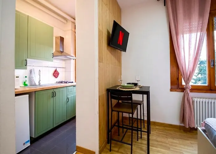 Monolocale Flower - Comfort & Free Wifi - Arena Rcf Apartmán Reggio Emilia